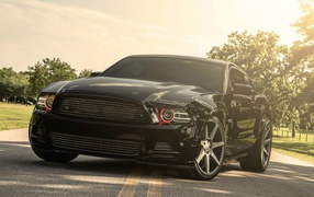 Beautiful black Ford Mustang GT 5.0