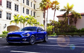Blue Ford Mustang at the house with palm trees