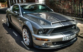 Brilliant Ford Mustang Shelby GT500