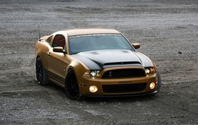 Brown Mustang with black hood