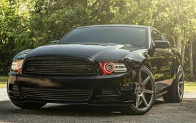 Powerful black Ford Mustang GT 5.0