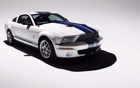 White Mustang with blue stripes on the body