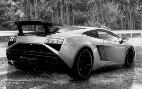 Black and white photo of a Lamborghini in the rain