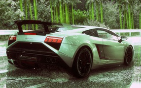 Tender green Lamborghini