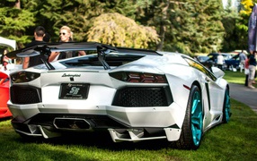 Белый Lamborghini Aventador LB-R на газоне