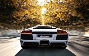White Lamborghini racing down the avenue