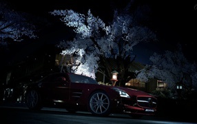 Dark red Mercedes-Benz on the background of a flowering tree