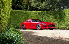 Red Mercedes at the fence of greenery