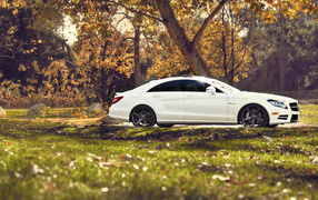 	   White Mercedes in nature