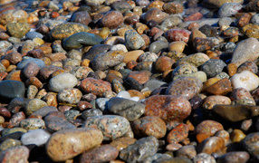	   Spotted stones