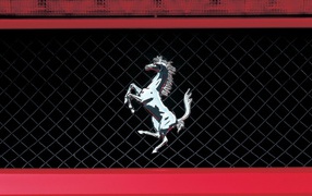 Sign of Ferrari on the radiator grating