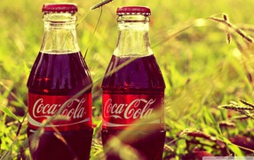 Two bottles of Coca-Cola in the grass