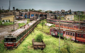 Cemetery of old trains