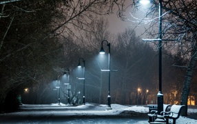 Night alley in winter park