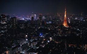 Night in Tokyo Japan