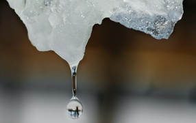 Капля воды падает с льдины