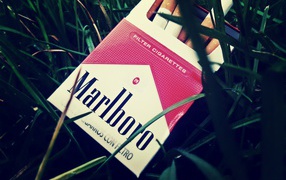 Пачка сигарет в траве