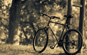 Велосипед стоит у стойки в парке