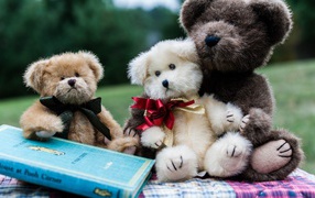 Family of teddy bears with a book