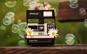 Цветы на фотоаппарате Полароид