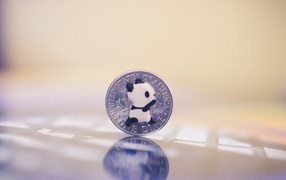 Панда на монете