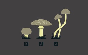 Предназначение разных грибов