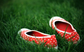 Красные туфли в зеленой траве