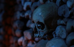 Skull among the bones in the crypt
