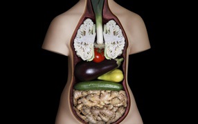 Внутренние органы из овощей