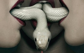 Белая змея во рту у девушек