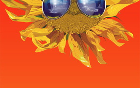 	   Sunflower dark glasses