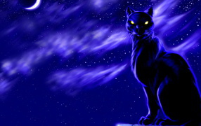 Black cat moon at night