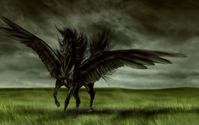 Black winged horse Pegasus