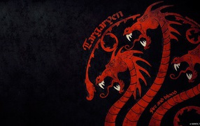Chinese dragon on a black background