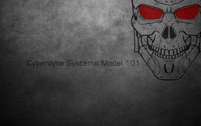 Модель 101 Сайбердайн системс