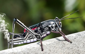 Iron robot grasshopper