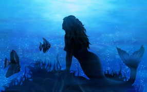 Mermaid in the blue sea
