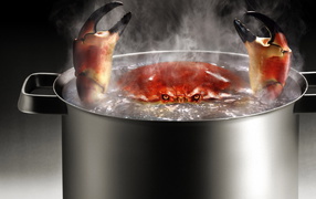 	   Crab in boiling water