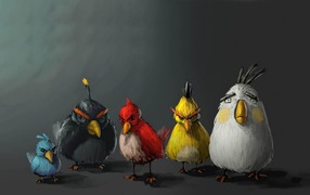 Арт к видео игре Angry Birds
