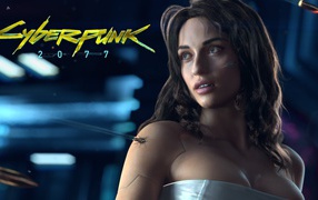 Computer game Cyberpunk 2077