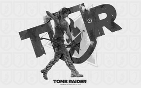 Постер игры Tomb Raider