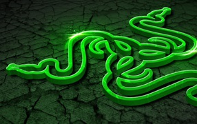 The symbolism of the game Razer on a green background