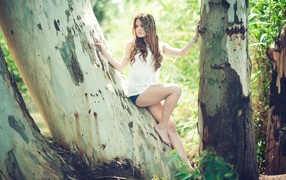 Девушка сидит на дереве