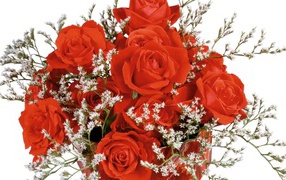 Design a bouquet of roses on March 8