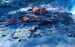 Glaucous coal fire