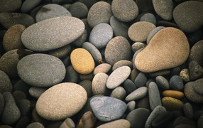 Smooth sea stones of different colors
