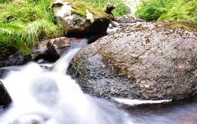 Stream among mossy stones