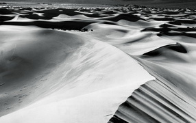 The dunes in the desert