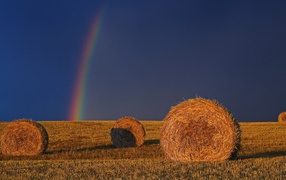 Rainbow behind harvested fields