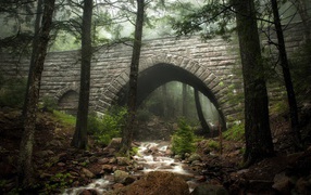 Ручей под каменным мостом в лесу